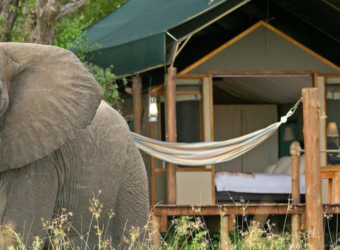 BOSTWANA 9 DAYS LUXURY  SAFARI