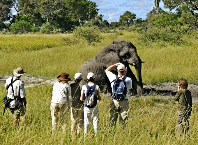 8 DAYS KUSINI CLASSIC  TANZANIA  SAFARI