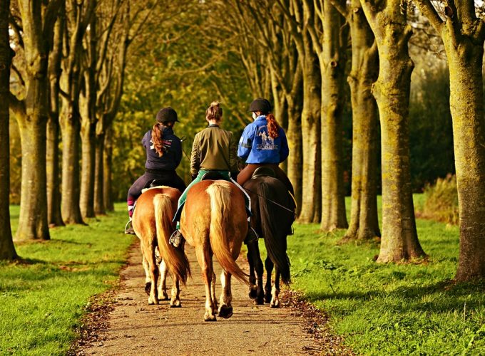 HORSE RIDING ADVENTURE IN MADRID