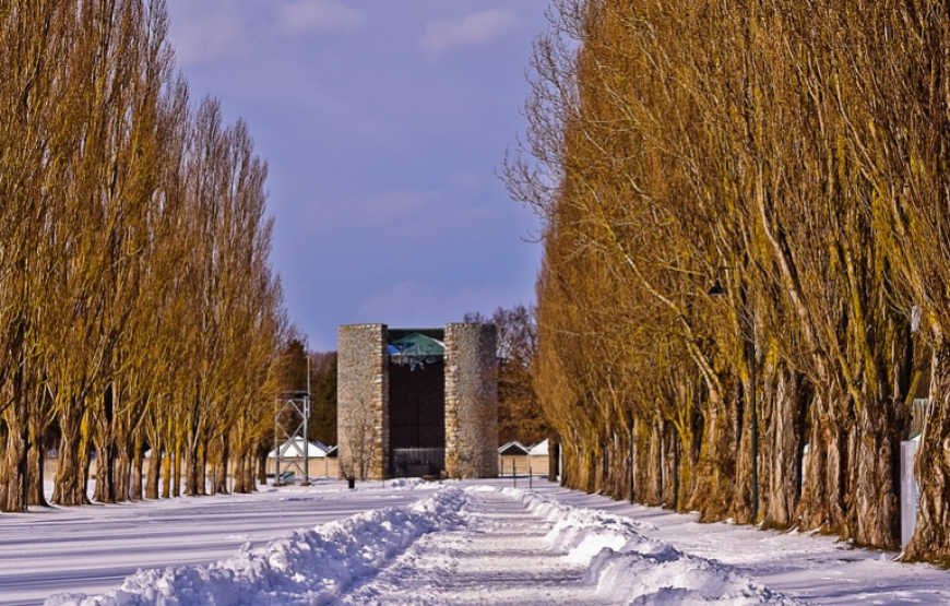 7 DAYS MEDIEVAL AND BLACK HISTORY OF GERMANY